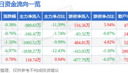 股票行情快报：纳川股份（300198）12月20日主力资金净卖出989.63万元
