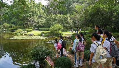 多地中小学生“喜提”5天秋假，用孩子拉动消费能如愿吗？