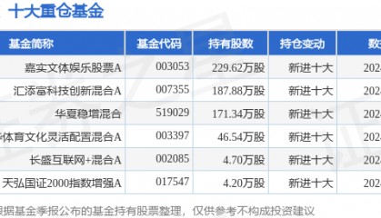 10月9日焦点科技跌10.00%，嘉实文体娱乐股票A基金重仓该股