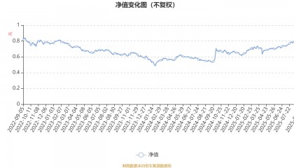 招商蓝筹精选股票A：2025年上半年利润3.04亿元 净值增长率13.92%