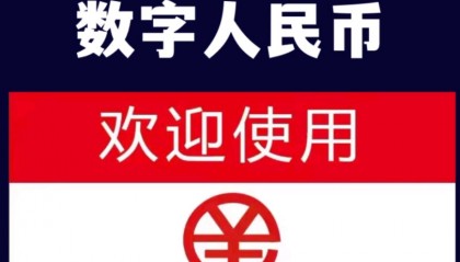 数字货币查询(数字货币数据查询)