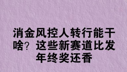 消金风控人转行能干啥？这些新赛道比发年终奖还香