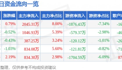 股票行情快报：黑猫股份（002068）3月24日主力资金净买入2045.31万元