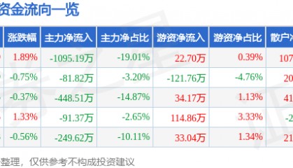 股票行情快报：新黄浦（600638）5月19日主力资金净卖出1095.19万元