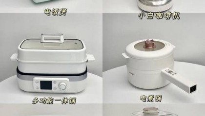 最新资讯，小家电行业龙头企业有哪些？哪些企业比较有发展潜力？