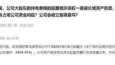 美锦能源回应股票债权拍卖疑问：公司不存在大股东资金占用问题