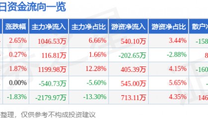 股票行情快报：赞宇科技（002637）8月13日主力资金净买入1046.53万元