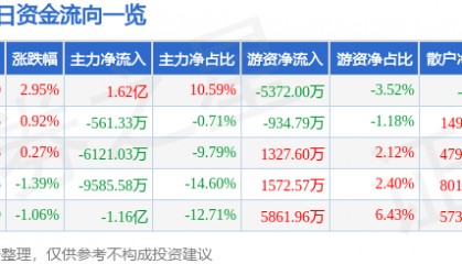 股票行情快报：中鼎股份（000887）8月13日主力资金净买入1.62亿元