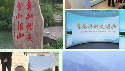 第一视点丨不负青山 金山自来