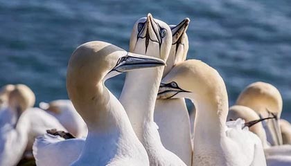 华昌达上涨5.17%,报7.32元/股