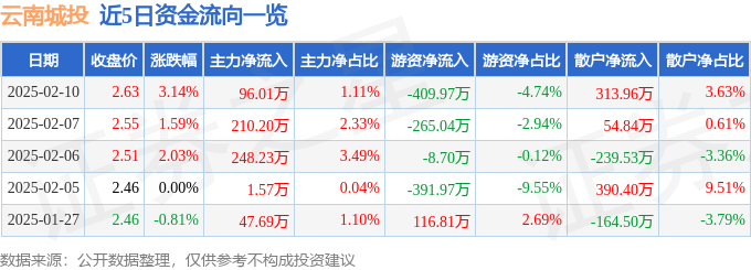 股票行情快报：云南城投（600239）2月10日主力资金净买入96.01万元