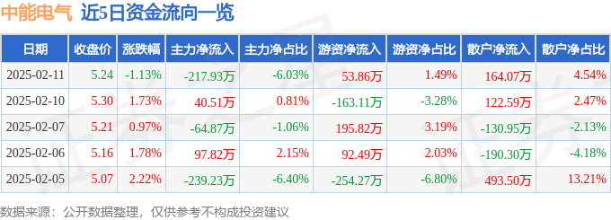 股票行情快报：中能电气（300062）2月11日主力资金净卖出217.93万元