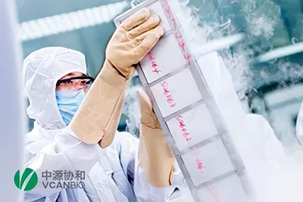 中源协和，与“套现王”共舞