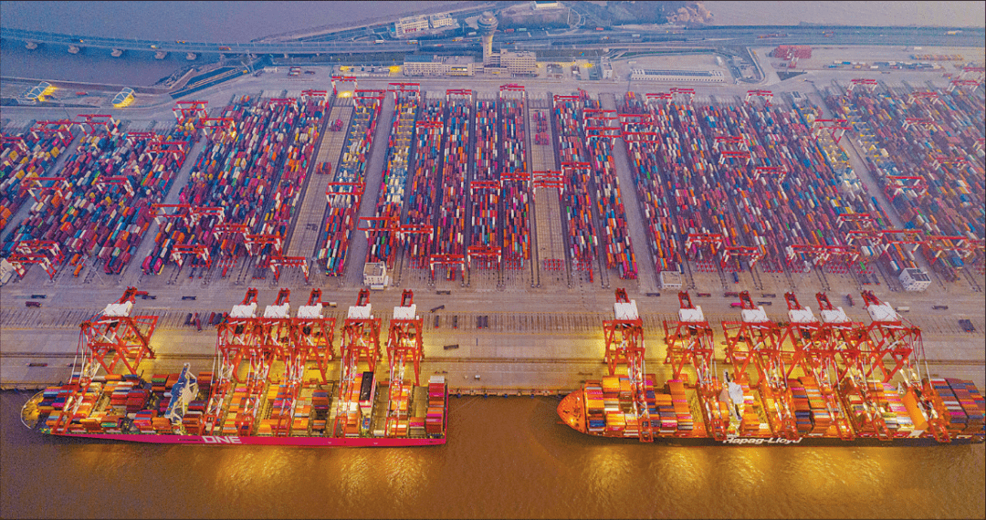 上海机场进口皮张,一站式报关服务登场