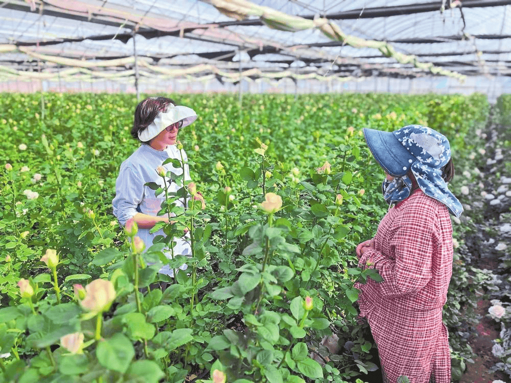 科技上新 鲜花盛放