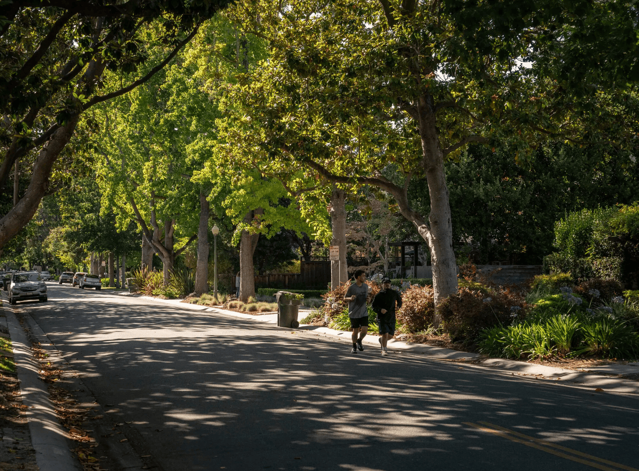 买下11栋房子,私下收学生隐蔽办学?扎克伯格遭邻居质疑,引来政府调查
