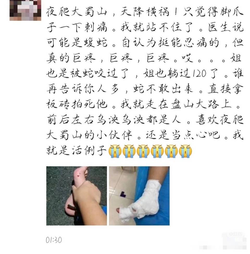 合肥一市民夜爬大蜀山被毒蛇咬伤 公园管理处呼吁:尽量避免夜间登山