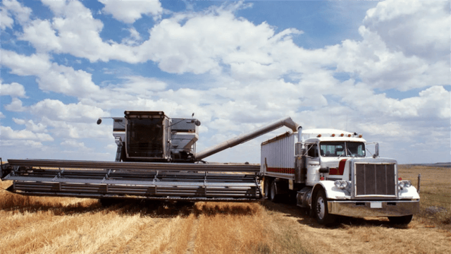 美国突然收到一封“投降书”!台湾将掏出所有家底双手奉上