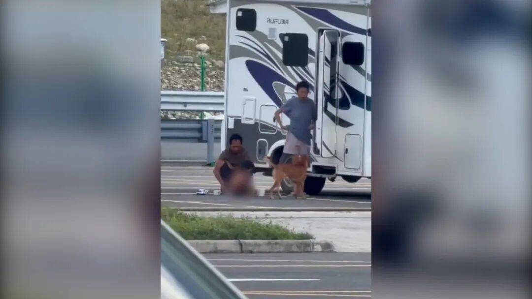 村民:“野人小孩”父亲上山“灵修”后就不正常了