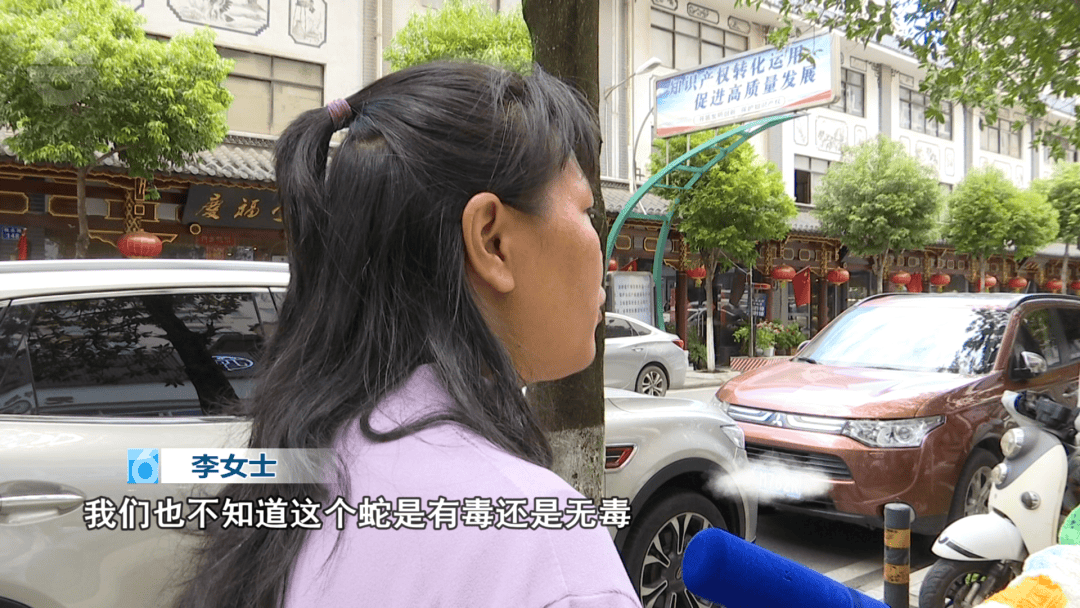 太吓人!云南女子网购塑料凳,拆开竟发现一条蛇被胶带粘在椅子上!还在动