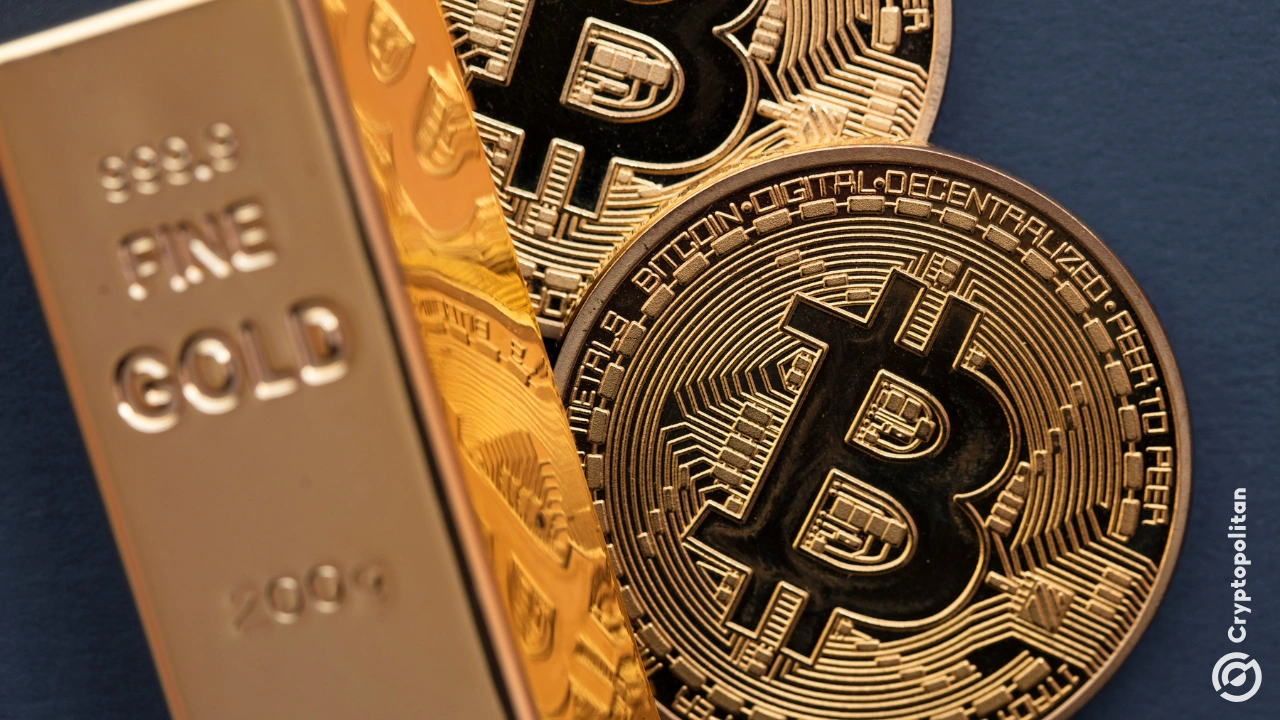 数字货币存储(数字货币存储器)